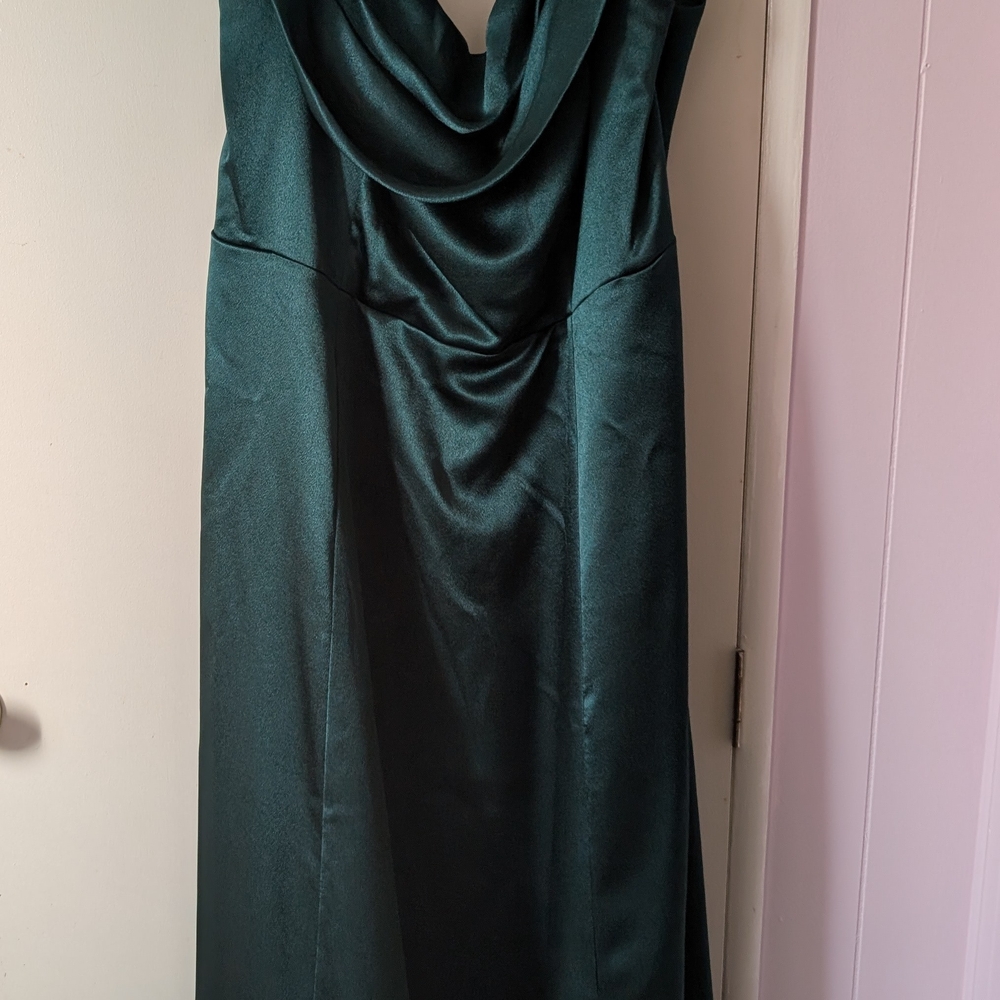 David's Bridal Green Cowl Neck Sleeveless Gown